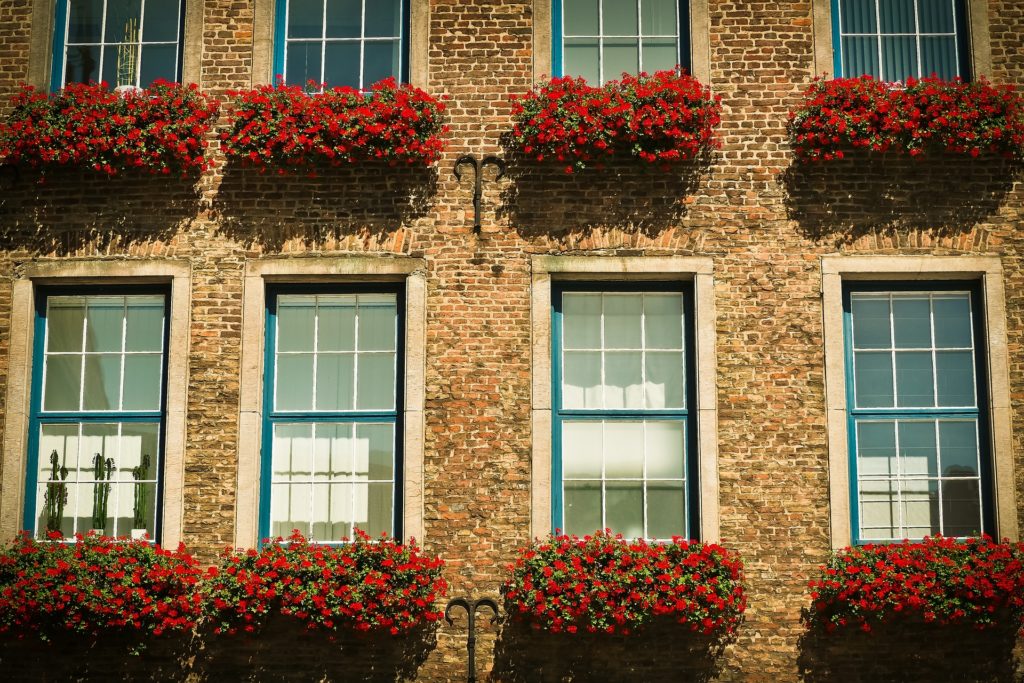 Landeshauptstadt investiert rund 80 Millionen Euro in den Klimaschutz